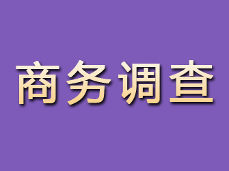 阜阳私人侦探公司：婚外情调查与寻人服务全解析